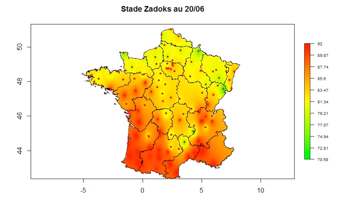 satfarming canicule et poid du blé