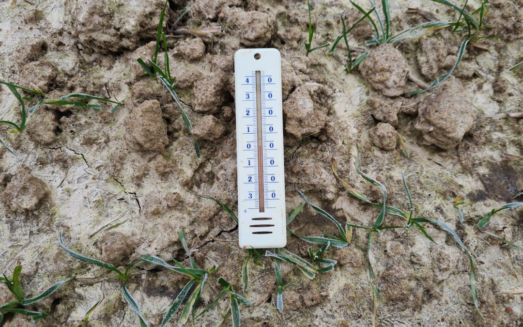 Numerical spatialized weather data comparison with official institutes data